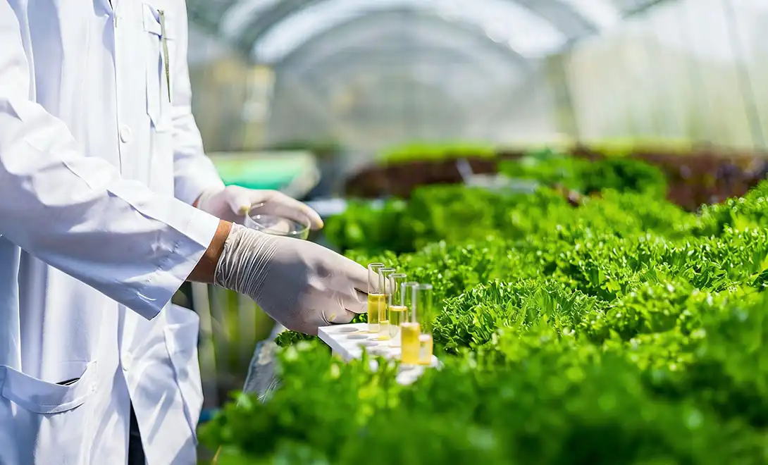 How Biostimulants Help Crops Survive Drought and Heat Stress？